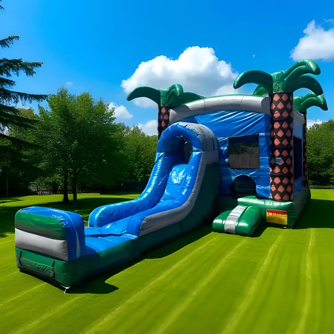 4-in-1 Aqua Palms Combo