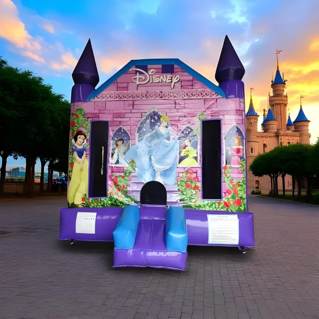 Disney Princess Bounce House