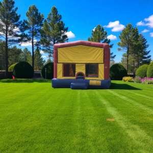 Primary Color Bounce House Rental