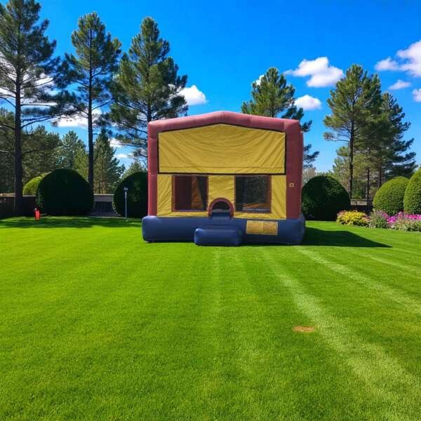 Primary Color Bounce House Rental